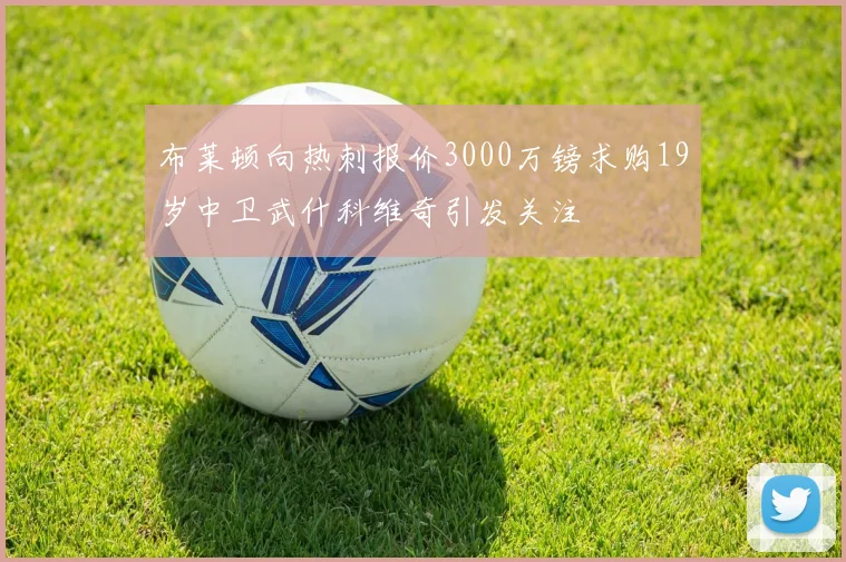 布莱顿向热刺报价3000万镑求购19岁中卫武什科维奇引发关注