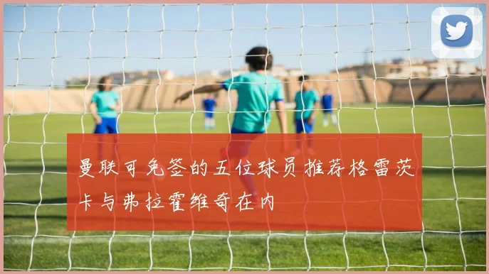 曼联可免签的五位球员推荐格雷茨卡与弗拉霍维奇在内